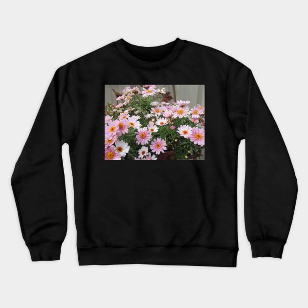 Argyranthemum - Honey Bees Summer Drops Crewneck Sweatshirt by claire-l-page